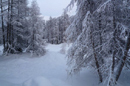 view of Bever winter